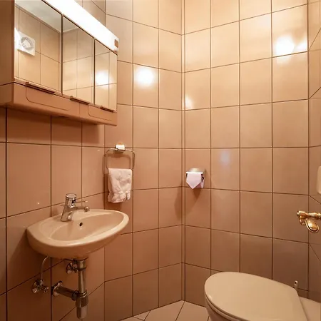- Julitta Oberhollenzer Apartment Mayrhofen